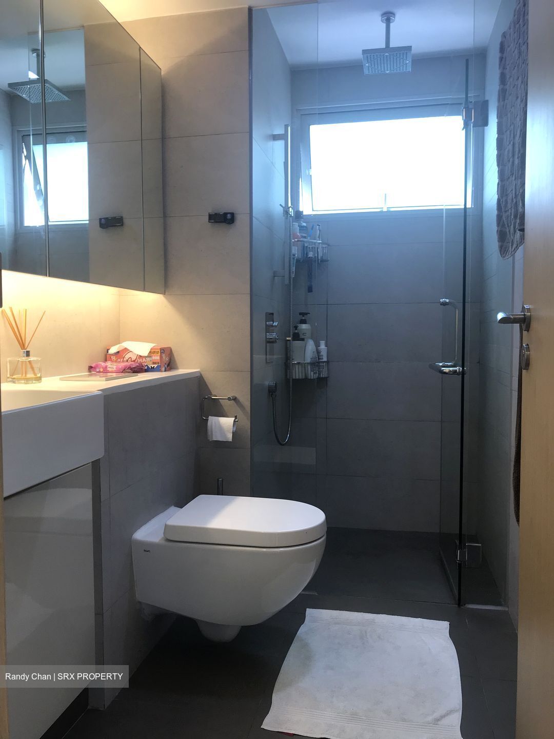 Eight Riversuites (D12), Condominium #437853481